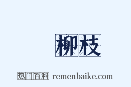 楊柳枝是什么意思的图片